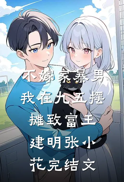 不嫁家暴男，我在九五摆摊致富王建明张小花完结文