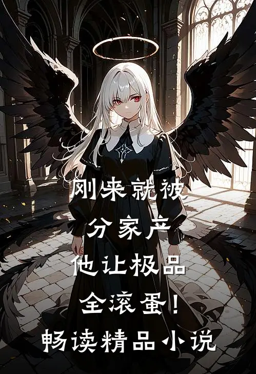 刚来就被分家产，他让极品全滚蛋！畅读精品小说