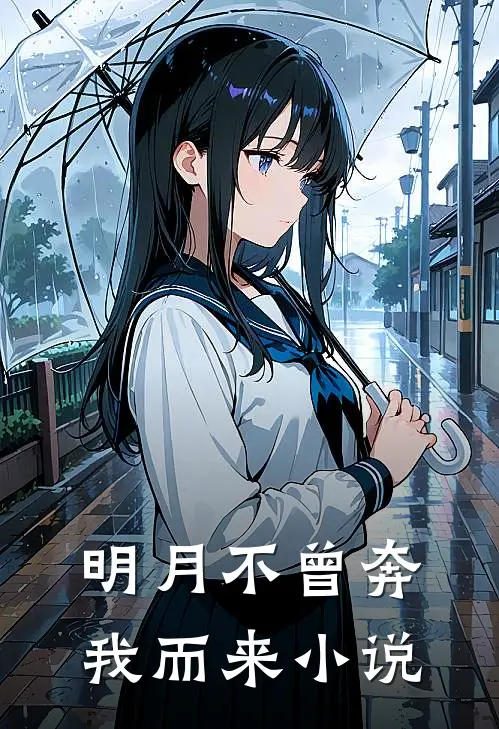 明月不曾奔我而来小说