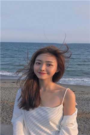 对错计划后续精品小说