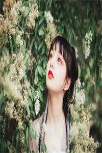 全集小说穿越妖主也被我征服小说(云青梧云歌)全章节在线阅读_云青梧云歌全章节在线阅读