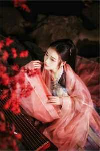 少帅宠妻全本阅读