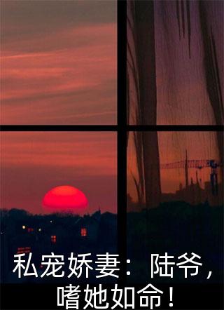 婚刺完整阅读