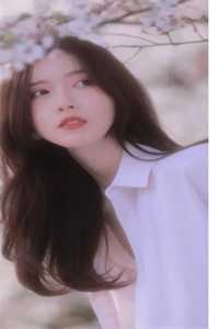 景绍辞晏子修免费阅读长篇小说阅读