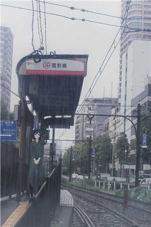 智者不入爱河小说全集