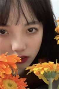 追龙畅销巨著