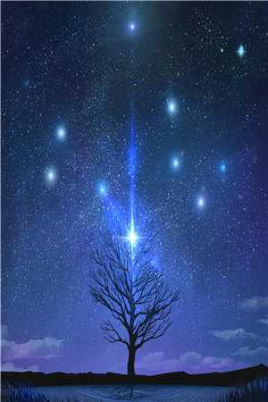 夏婠星陆憬川完整篇章