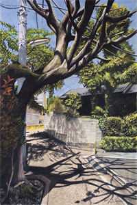 《直播历史：从大秦开始全文完结》白起范雎已完结小说_直播历史：从大秦开始全文完结(白起范雎)火爆小说