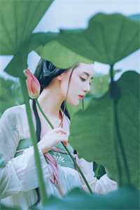 优秀文集顶级豪门