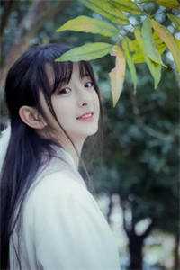 帝少追妻记精品推荐