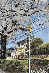 全本阅读樱桃口