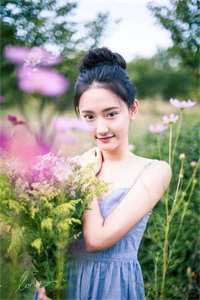 背叛推理：完美妻子背后的秘密高质量小说阅读