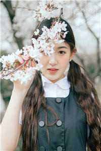 全本小说阅读江湖儿女