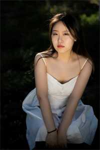 全集小说推荐我死后，总裁疯了