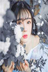 顶级肆宠易木殇