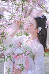 穿成反贼之子，我带着老爹称霸天下畅销小说推荐
