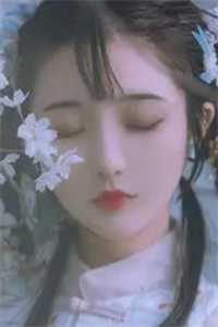 长篇小说阅读快穿小世界：绝色美人她好孕连连