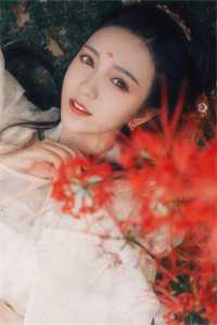 苏云木婉清《精选全文穿越：我在港岛世界除暴安良》最新章节阅读_(苏云木婉清)热门小说