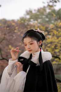 良心推荐《精品文修仙：癞蛤蟆的妖修日常》莫凡孙悟全集免费阅读_《精品文修仙：癞蛤蟆的妖修日常》最新章节免费在线阅读