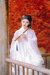 快穿小世界：绝色美人她好孕连连畅销巨著