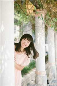 报，少帅夫人她登报宣告要离婚全集小说