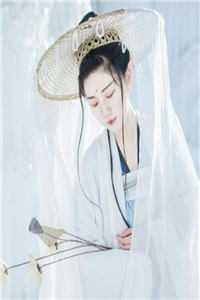 星穹铁道：芙卡洛斯的审判官畅销小说