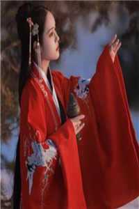 八零军婚：各界大佬都认我当孙女高质量小说阅读