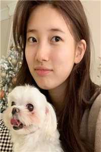 全集小说推荐山海鬼妖志