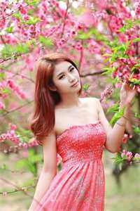 身为主角,我除了女帝老婆一无所有在线全章阅读