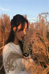 精选篇章我死后，总裁疯了