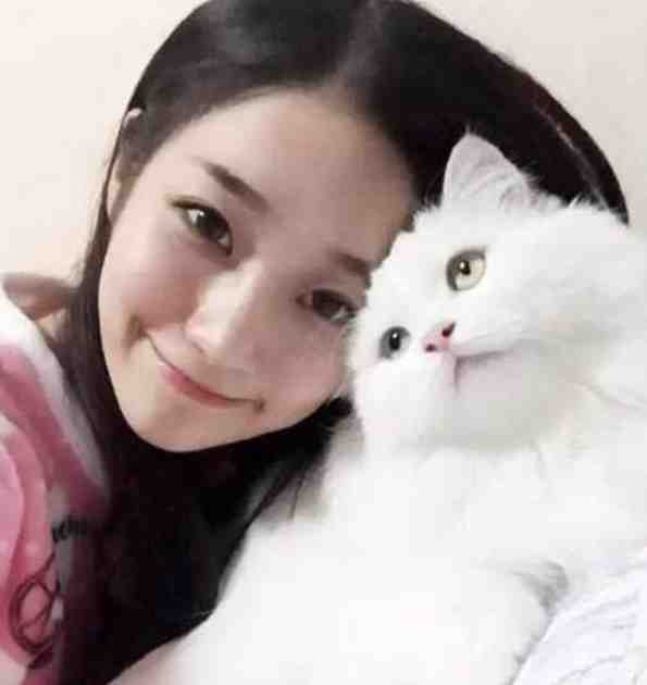 改嫁王爷后,全京城都在看我虐渣全文免费