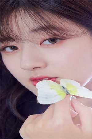 杨束陆韫
