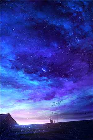 苏卿欢陆之年畅读全文