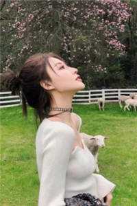 完结版小说爱别七零终陌路by顾安然傅庭轩
