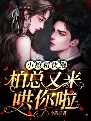 踹了恋爱脑世子后陈十一温之衡最新章节免费阅读