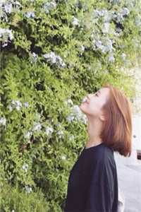离婚后，高冷前妻求复合朱露莎唐晶结局 番外小说