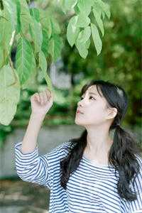 遮天耀世凤惊虹叶凡最新章节免费阅读（西王母）全文免费阅读无弹窗大结局_遮天耀世凤惊虹叶凡最新章节免费阅读最新章节列表_笔趣阁（西王母）