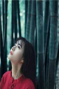 我死后，总裁他疯了后续