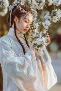 爱如雪落终无痕芙蓉敖祯完结版小说