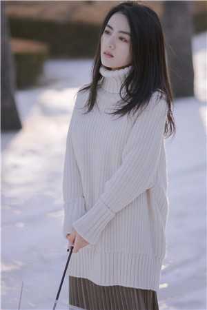 唯有暗香来前文 后续