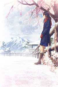 爱恨随风，落尽余生顾曼池修小说完结版