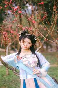如果晚风听得见小说结局