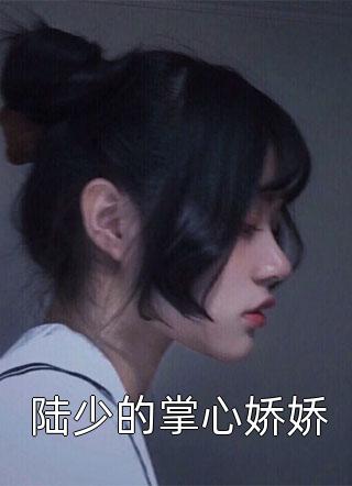 爱意血浸宋晏辞林念安全局