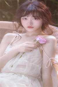 明珠王淑芬婆婆和阿联酋王子私奔了小说