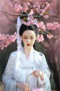 画笔起落爱难留(闻修瑾安容)椰椰菜小说完结_免费小说全本画笔起落爱难留(闻修瑾安容)(椰椰菜)