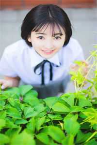 开局被分手，我成名探后前女友后悔了江风董强后续 全文