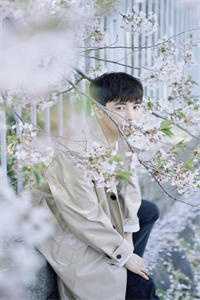 宋晚杨湛写的小说春色撩人全文阅读