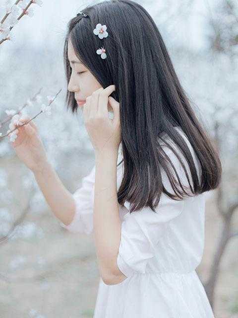 春到南楼雪尽处完结版小说傅庭州苏枝夏