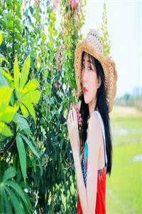 苔藓爬满旧日诺言顾砚廷慕晚夏全文免费