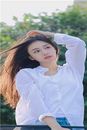 此情脉脉终难诉林恒之孟双双小说完结版